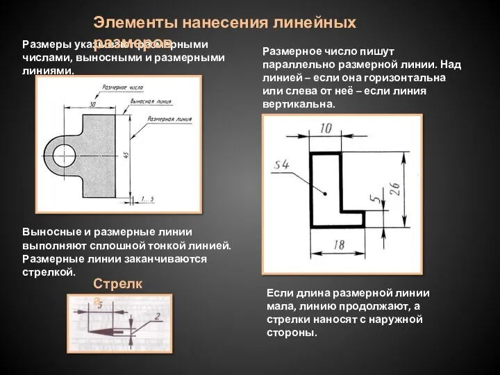 Размеры указывают размерными числами, выносными и размерными линиями. Выносные и размерные линии