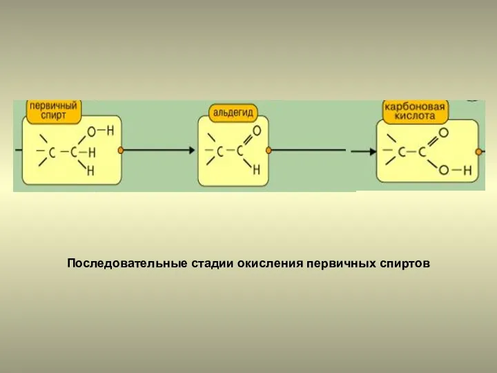 Последовательные стадии окисления первичных спиртов