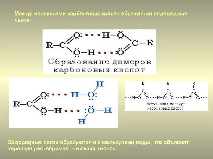 Между молекулами карбоновых кислот образуются водородные связи Водородные связи образуются и с