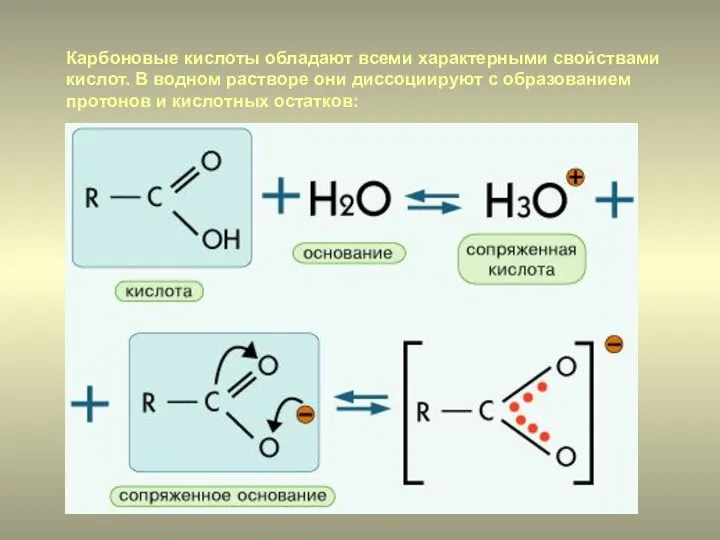 Карбоновые кислоты обладают всеми характерными свойствами кислот. В водном растворе они диссоциируют