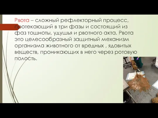 Рвота – сложный рефлекторный процесс, протекающий в три фазы и состоящий из