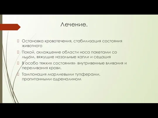 Лечение. Остановка кровотечения, стабилизация состояния животного Покой, охлаждение области носа пакетами со