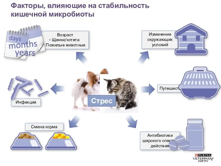 Возраст Щенки/котята Пожилые животные Факторы, влияющие на стабильность кишечной микробиоты Путешествие Изменение