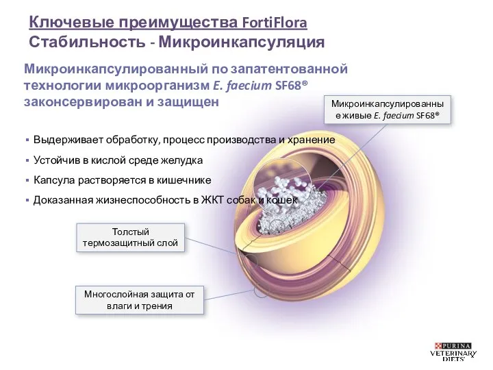 Ключевые преимущества FortiFlora Стабильность - Микроинкапсуляция Микроинкапсулированный по запатентованной технологии микроорганизм E.