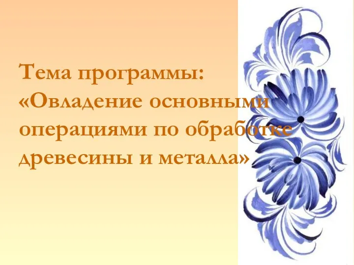 Тема программы: «Овладение основными операциями по обработке древесины и металла»