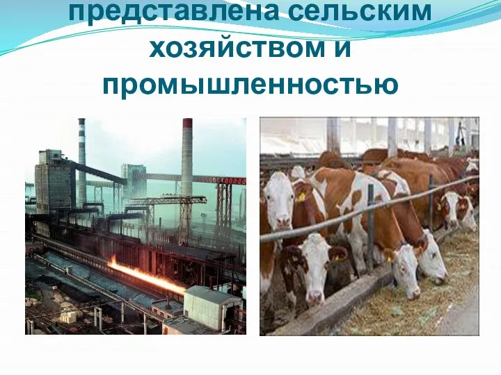 Экономика Алтайского края представлена сельским хозяйством и промышленностью