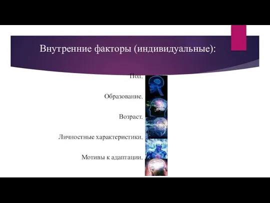 Внутренние факторы (индивидуальные): Пол. Образование. Возраст. Личностные характеристики. Мотивы к адаптации.