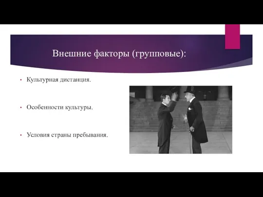 Внешние факторы (групповые): Культурная дистанция. Особенности культуры. Условия страны пребывания.