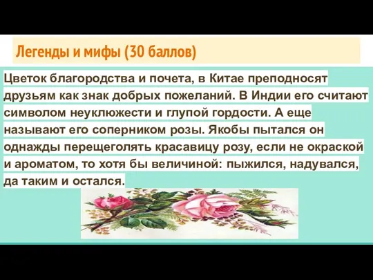 Легенды и мифы (30 баллов) Цветок благородства и почета, в Китае преподносят