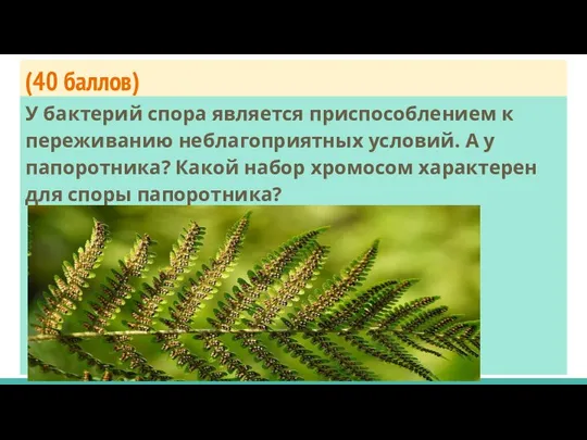 (40 баллов) У бактерий спора является приспособлением к переживанию неблагоприятных условий. А