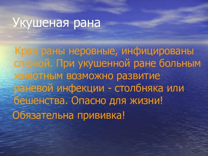 Укушеная рана Края раны неровные, инфицированы слюной. При укушенной ране больным животным