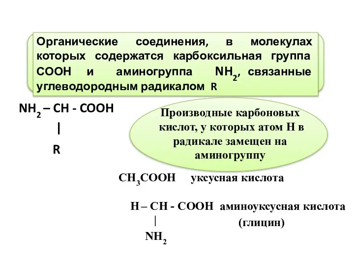 NH2 – CH - COOH | R Органические соединения, в молекулах которых