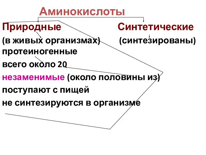 Аминокислоты Природные Синтетические (в живых организмах) (синтезированы) протеиногенные всего около 20 незаменимые