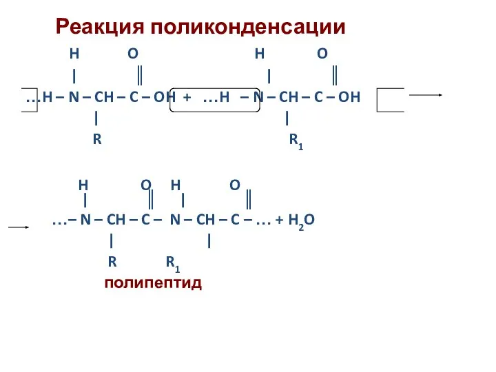 Реакция поликонденсации H O H O | ║ | ║ …H –