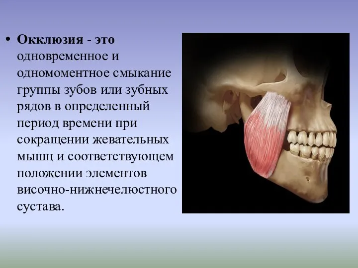 Окклюзия - это одновременное и одномоментное смыкание группы зубов или зубных рядов