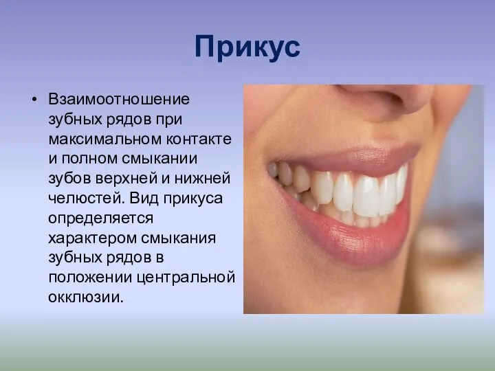 Прикус Взаимоотношение зубных рядов при максимальном контакте и полном смыкании зубов верхней
