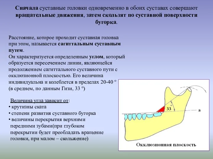 Сначала суставные головки одновременно в обоих суставах совершают вращательные движения, затем скользят