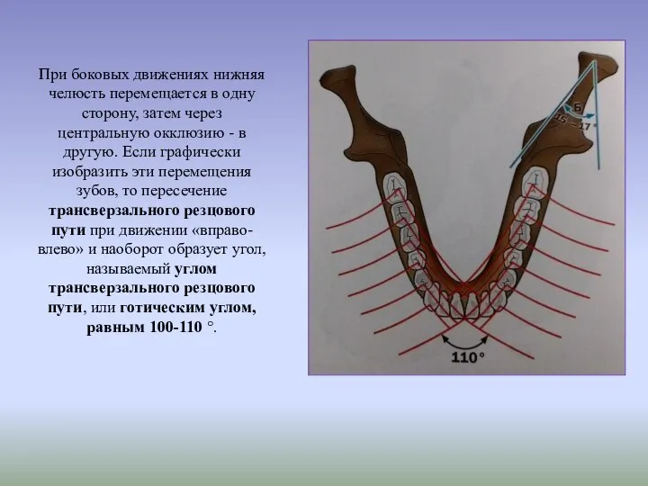 При боковых движениях нижняя челюсть перемещается в одну сторону, затем через центральную