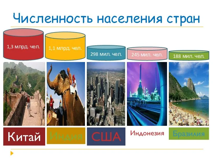Численность населения стран Китай Индия США Индонезия Бразилия 1,3 млрд. чел. 1,1