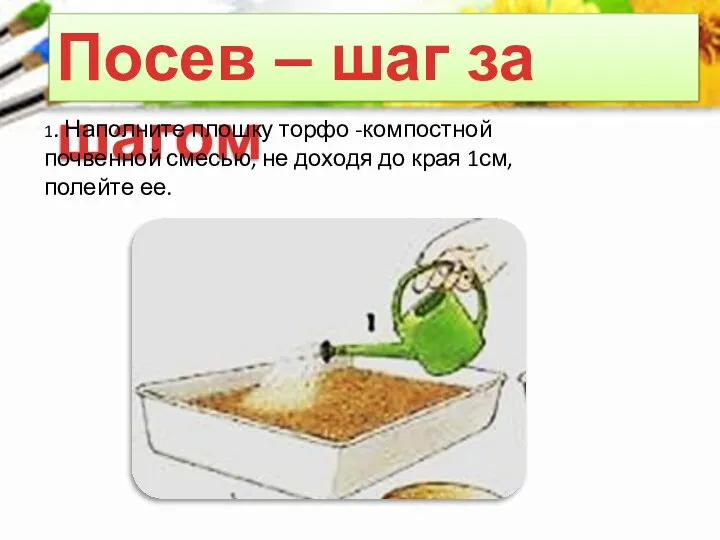 Посев – шаг за шагом 1. Наполните плошку торфо -компостной почвенной смесью,