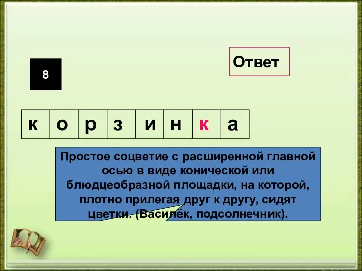 8 Простое соцветие с расширенной главной осью в виде конической или блюдцеобразной