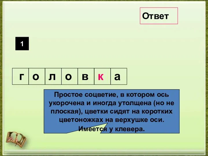 Простое соцветие, в котором ось укорочена и иногда утолщена (но не плоская),