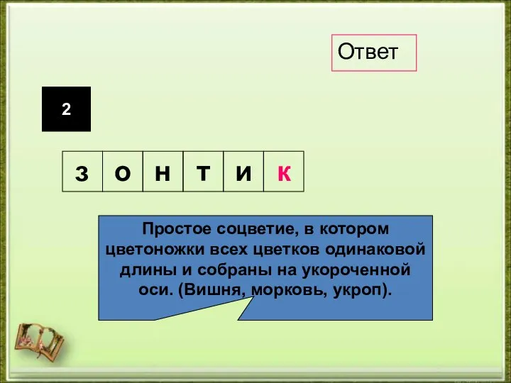 2 Простое соцветие, в котором цветоножки всех цветков одинаковой длины и собраны