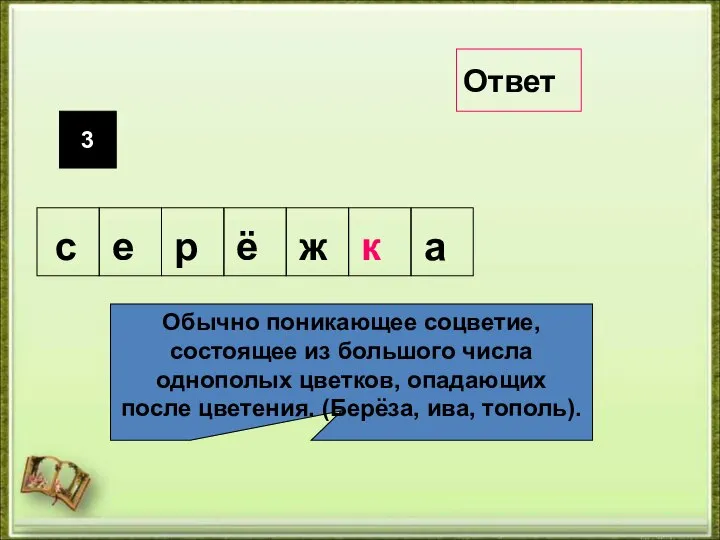 3 Обычно поникающее соцветие, состоящее из большого числа однополых цветков, опадающих после