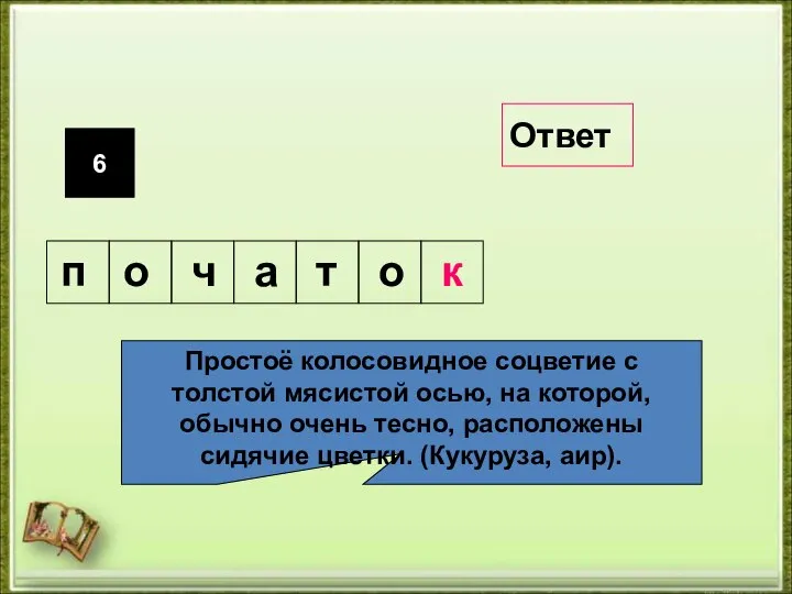 6 Простоё колосовидное соцветие с толстой мясистой осью, на которой, обычно очень