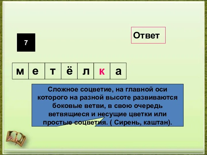 7 Сложное соцветие, на главной оси которого на разной высоте развиваются боковые