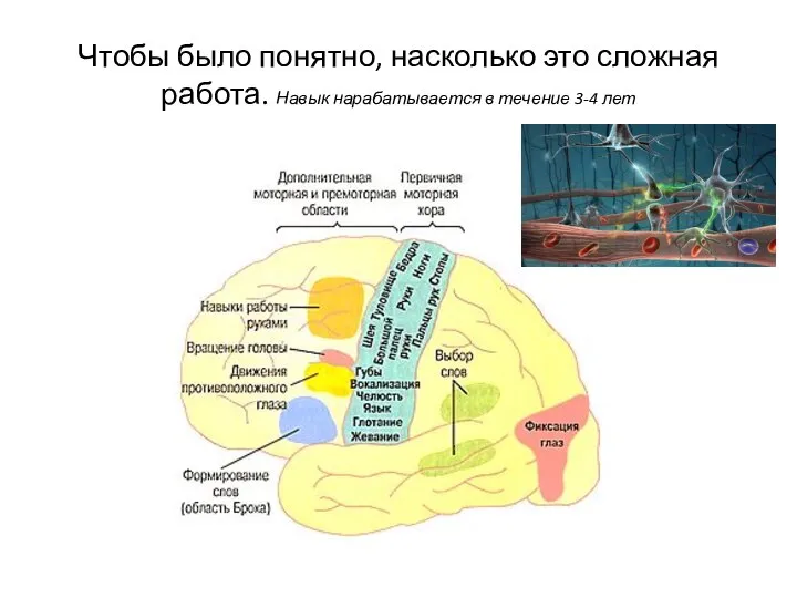 Чтобы было понятно, насколько это сложная работа. Навык нарабатывается в течение 3-4 лет