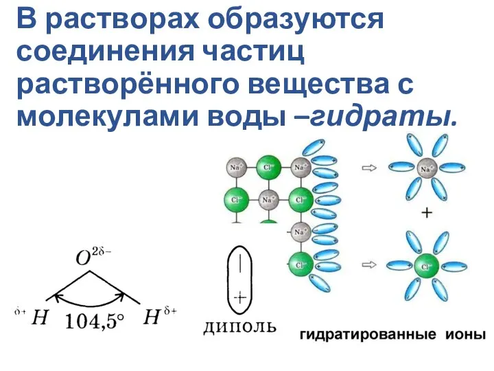 В растворах образуются соединения частиц растворённого вещества с молекулами воды –гидраты.