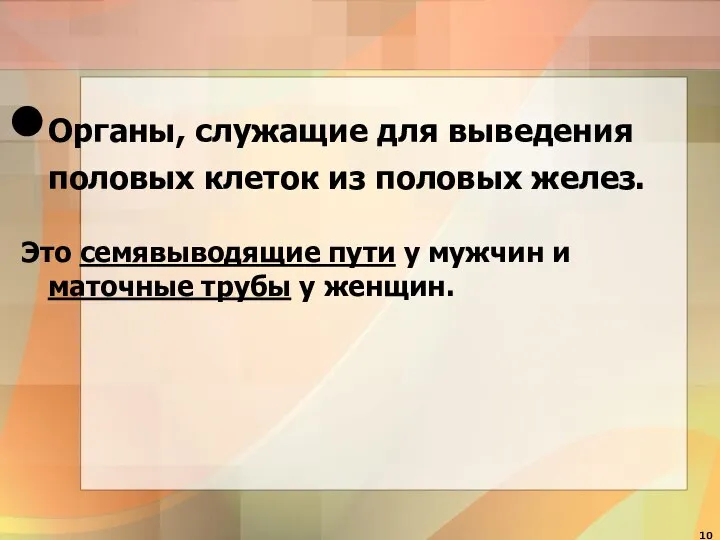 Органы, служащие для выведения половых клеток из половых желез. Это семявыводящие пути