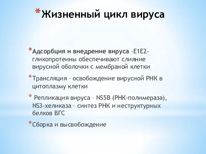 Жизненный цикл вируса Адсорбция и внедрение вируса –Е1Е2-гликопротеины обеспечивают слияние вирусной оболочки