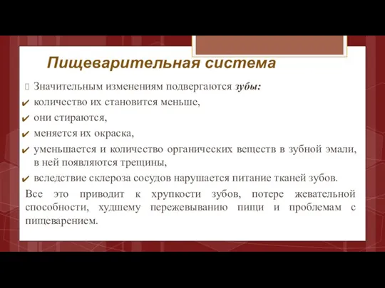 Пищеварительная система Значительным изменениям подвергаются зубы: количество их становится меньше, они стираются,