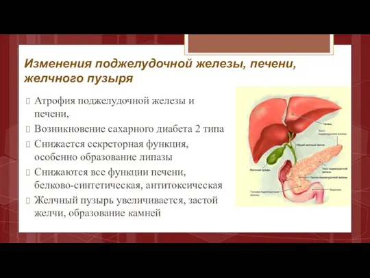 Изменения поджелудочной железы, печени, желчного пузыря Атрофия поджелудочной железы и печени, Возникновение