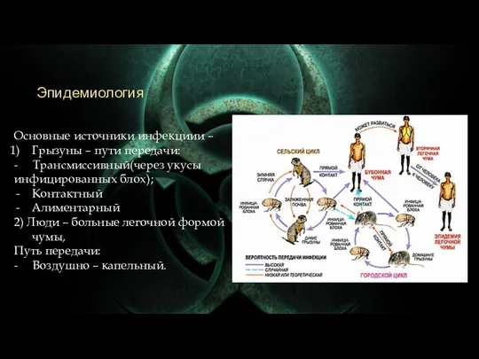 Эпидемиология Основные источники инфекциии – Грызуны – пути передачи: - Трансмиссивный(через укусы