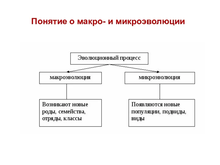 Понятие о макро- и микроэволюции