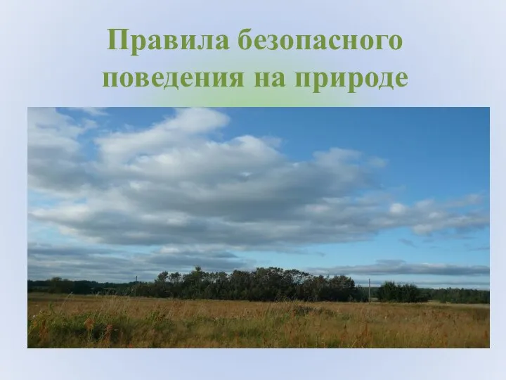 Правила безопасного поведения на природе