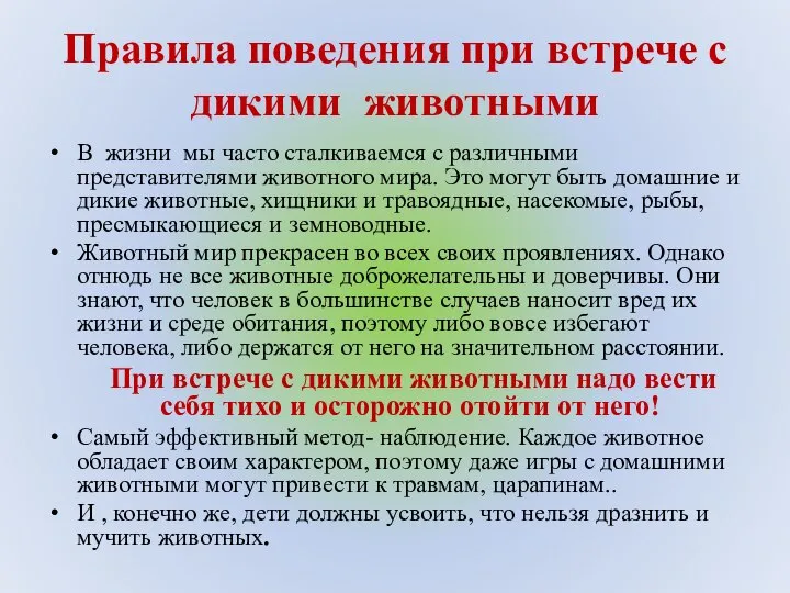 Правила поведения при встрече с дикими животными В жизни мы часто сталкиваемся