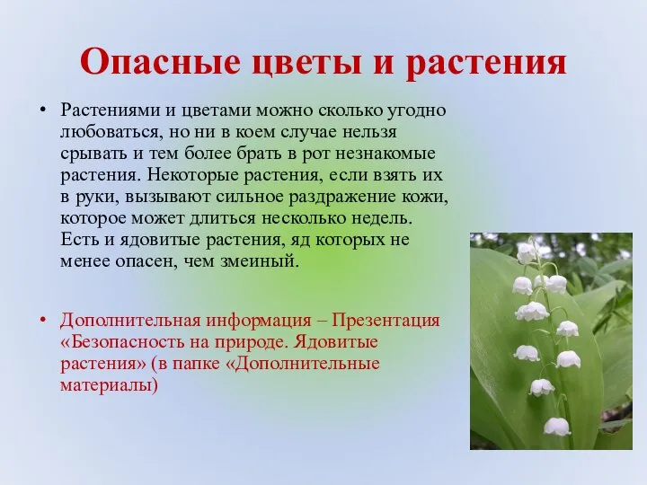 Опасные цветы и растения Растениями и цветами можно сколько угодно любоваться, но