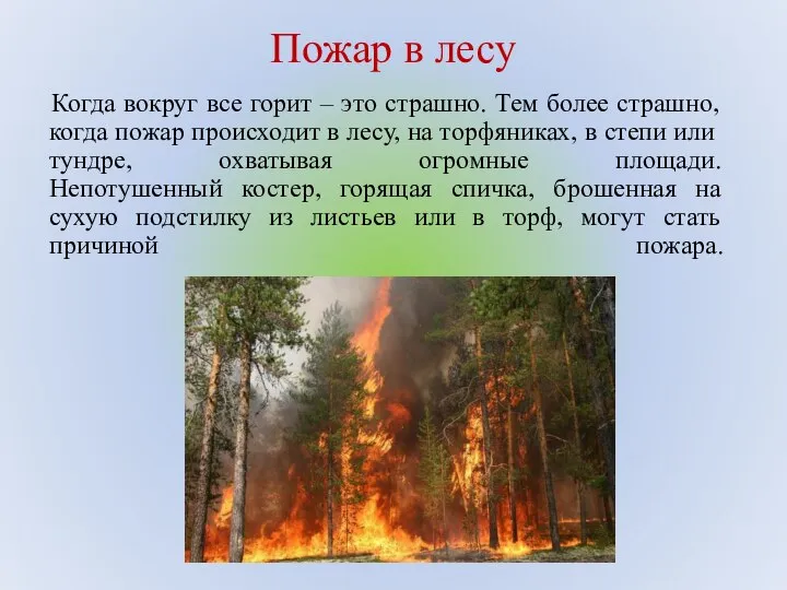 Пожар в лесу Когда вокруг все горит – это страшно. Тем более