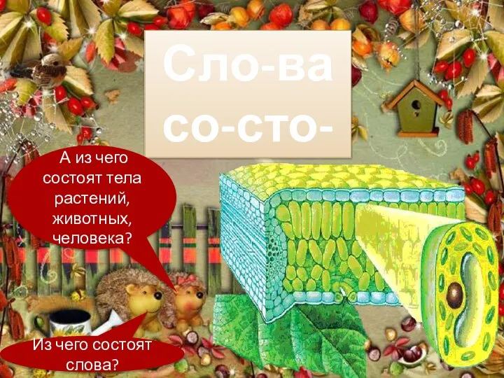 Из чего состоят слова? Сло-ва со-сто-ят А из чего состоят тела растений, животных, человека?