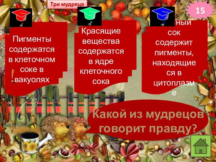 15 Три мудреца Пигменты содержатся в клеточном соке в вакуолях Красящие вещества