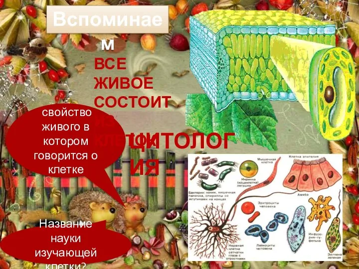 Название науки изучающей клетки? свойство живого в котором говорится о клетке Вспоминаем