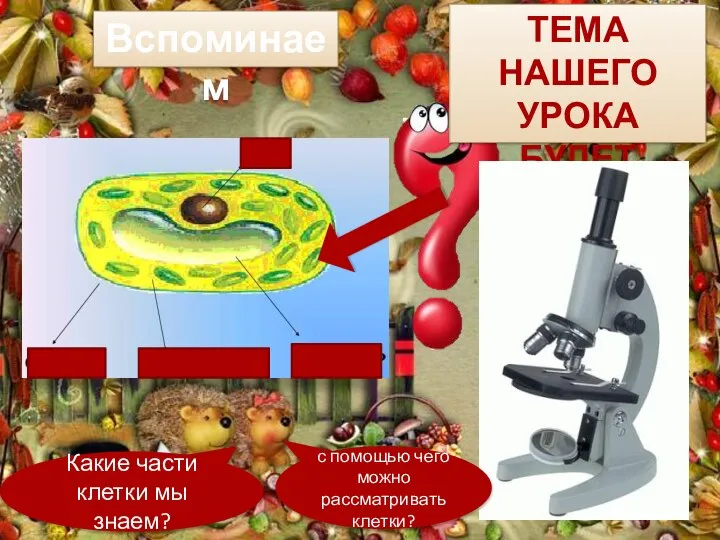 Какие части клетки мы знаем? ТЕМА НАШЕГО УРОКА БУДЕТ ЗВУЧАТЬ Вспоминаем с