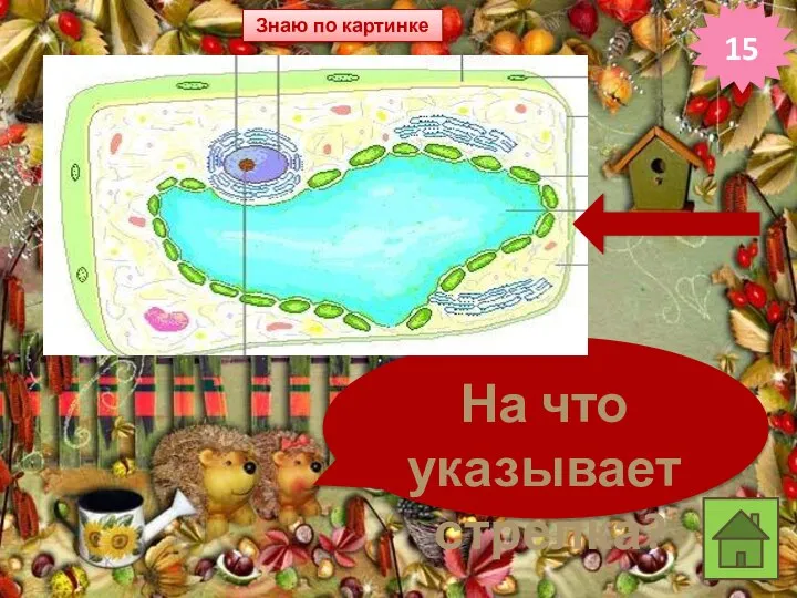 Знаю по картинке 15 На что указывает стрелка?