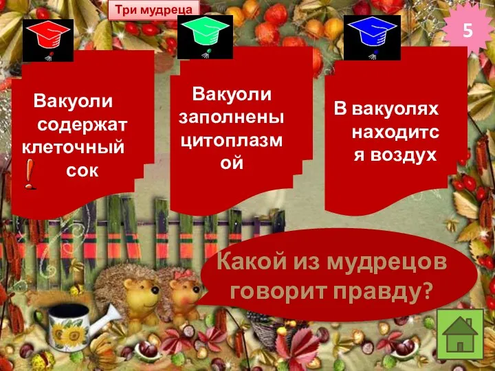 5 Три мудреца Вакуоли содержат клеточный сок Вакуоли заполнены цитоплазмой В вакуолях