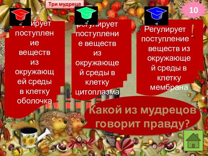 10 Три мудреца регулирует поступление веществ из окружающей среды в клетку оболочка