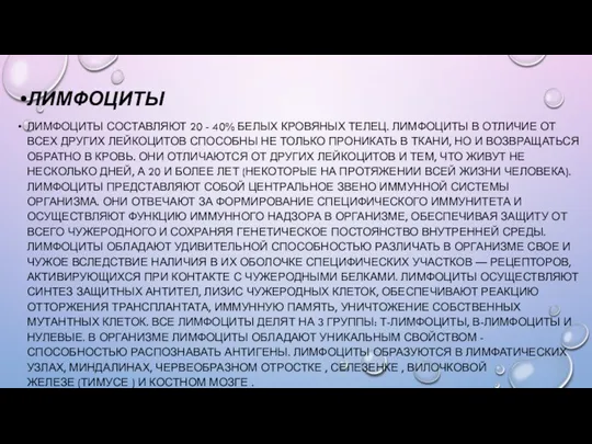 ЛИМФОЦИТЫ ЛИМФОЦИТЫ СОСТАВЛЯЮТ 20 - 40% БЕЛЫХ КРОВЯНЫХ ТЕЛЕЦ. ЛИМФОЦИТЫ В ОТЛИЧИЕ